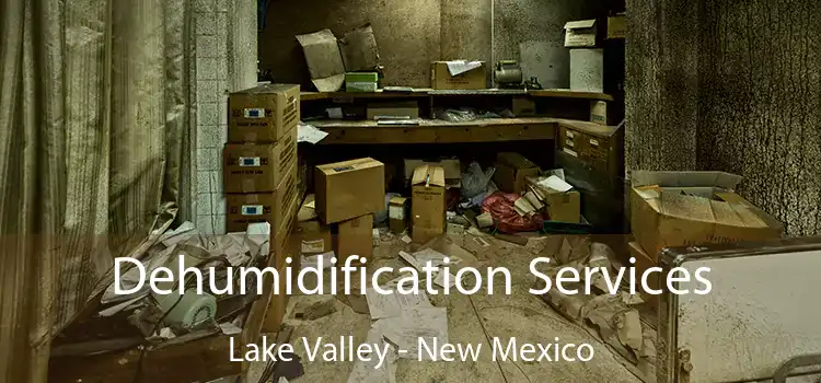 Dehumidification Services Lake Valley - New Mexico