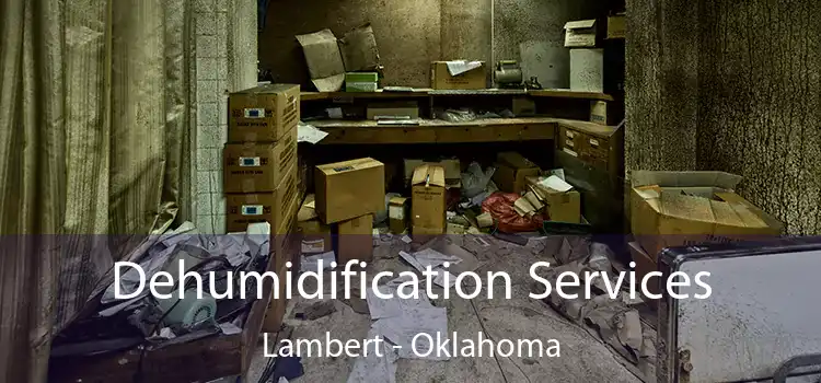 Dehumidification Services Lambert - Oklahoma