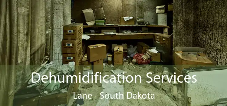 Dehumidification Services Lane - South Dakota