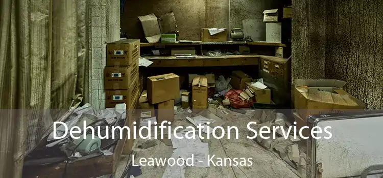 Dehumidification Services Leawood - Kansas