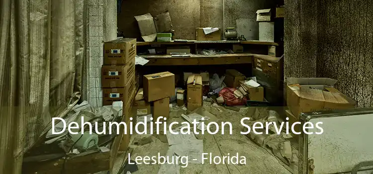 Dehumidification Services Leesburg - Florida