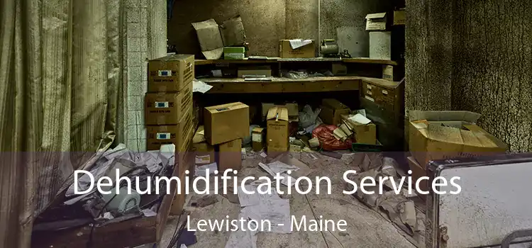 Dehumidification Services Lewiston - Maine