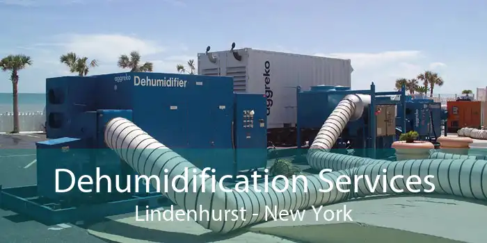 Dehumidification Services Lindenhurst - New York