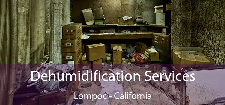 Dehumidification Services Lompoc - California