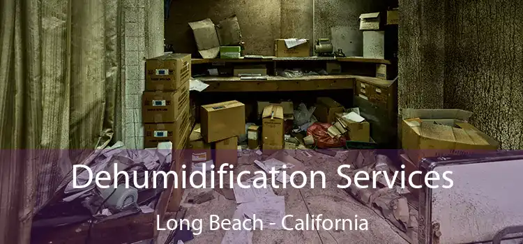 Dehumidification Services Long Beach - California