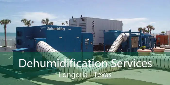 Dehumidification Services Longoria - Texas