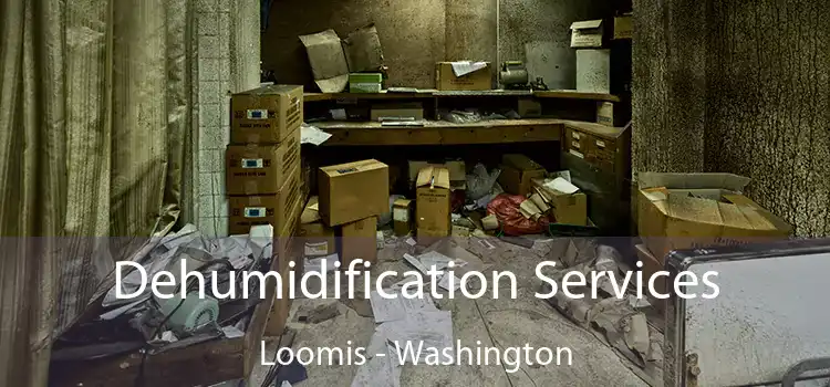 Dehumidification Services Loomis - Washington