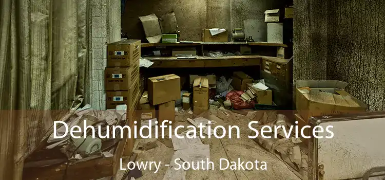 Dehumidification Services Lowry - South Dakota