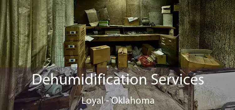 Dehumidification Services Loyal - Oklahoma