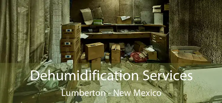 Dehumidification Services Lumberton - New Mexico