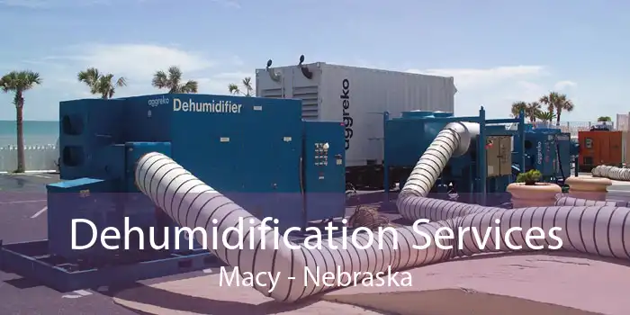 Dehumidification Services Macy - Nebraska