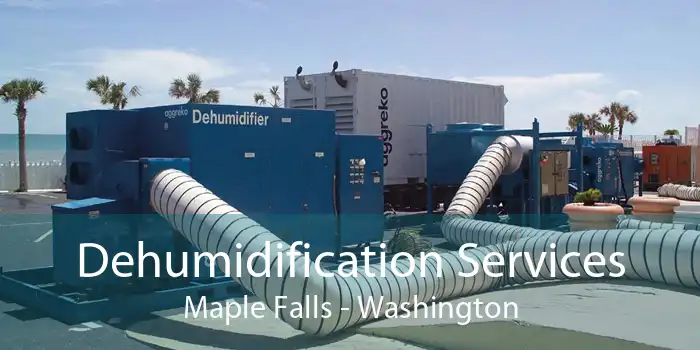 Dehumidification Services Maple Falls - Washington