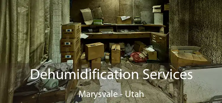 Dehumidification Services Marysvale - Utah