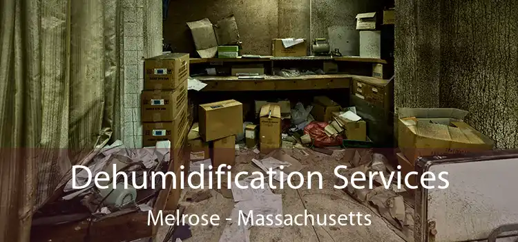 Dehumidification Services Melrose - Massachusetts