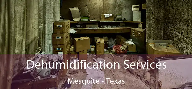 Dehumidification Services Mesquite - Texas