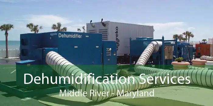 Dehumidification Services Middle River - Maryland