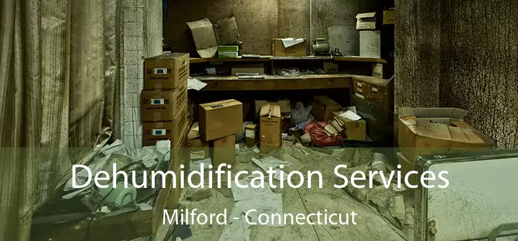 Dehumidification Services Milford - Connecticut