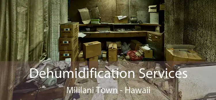 Dehumidification Services Mililani Town - Hawaii