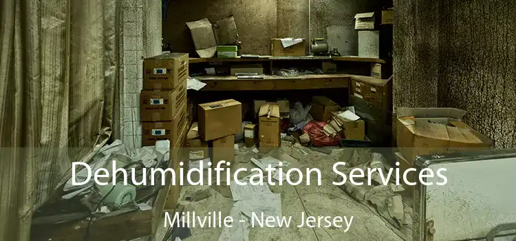 Dehumidification Services Millville - New Jersey