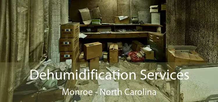 Dehumidification Services Monroe - North Carolina