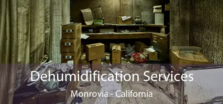 Dehumidification Services Monrovia - California