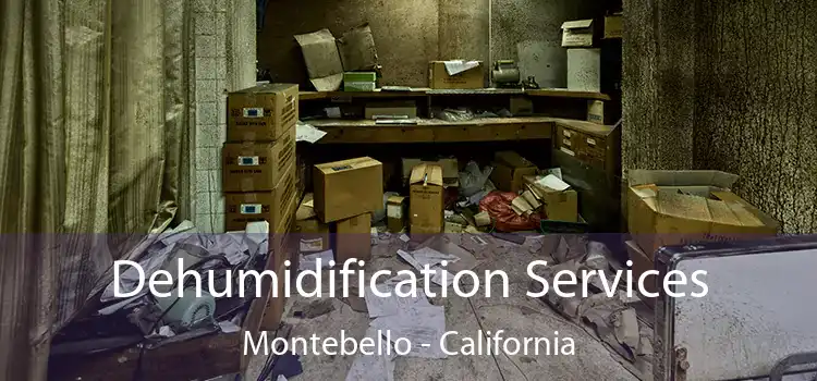 Dehumidification Services Montebello - California