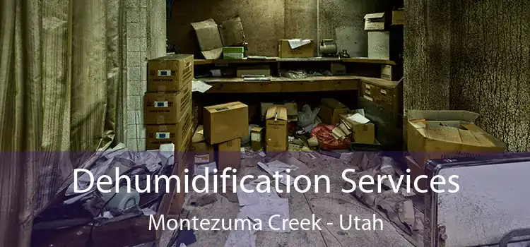 Dehumidification Services Montezuma Creek - Utah