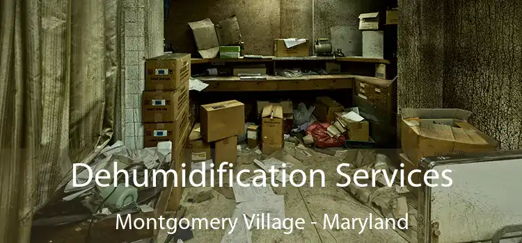 Dehumidification Services Montgomery Village - Maryland