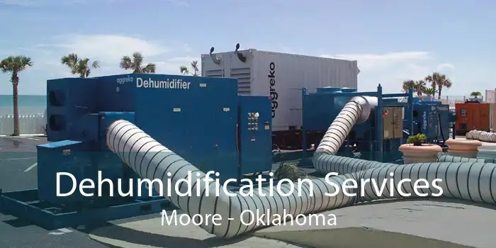 Dehumidification Services Moore - Oklahoma