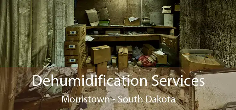 Dehumidification Services Morristown - South Dakota