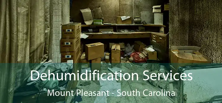 Dehumidification Services Mount Pleasant - South Carolina