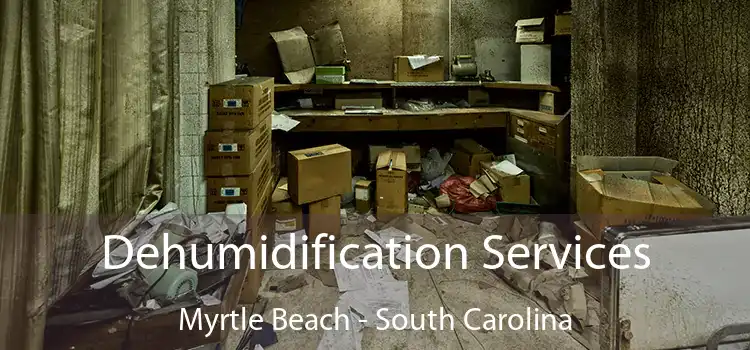 Dehumidification Services Myrtle Beach - South Carolina