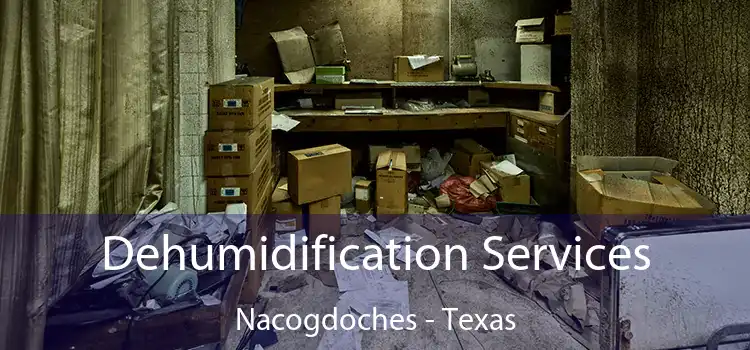 Dehumidification Services Nacogdoches - Texas