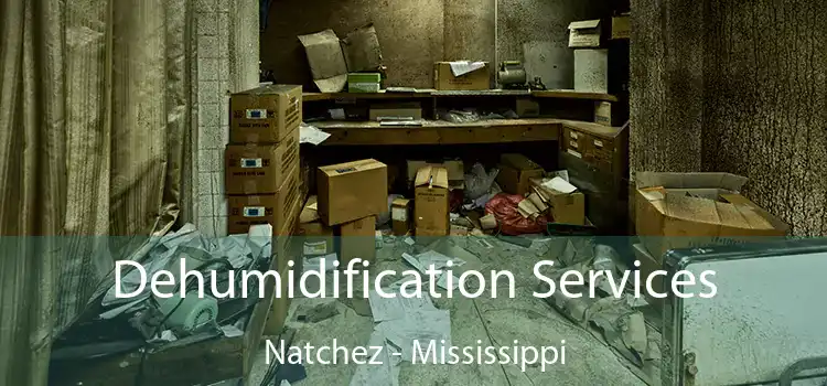 Dehumidification Services Natchez - Mississippi