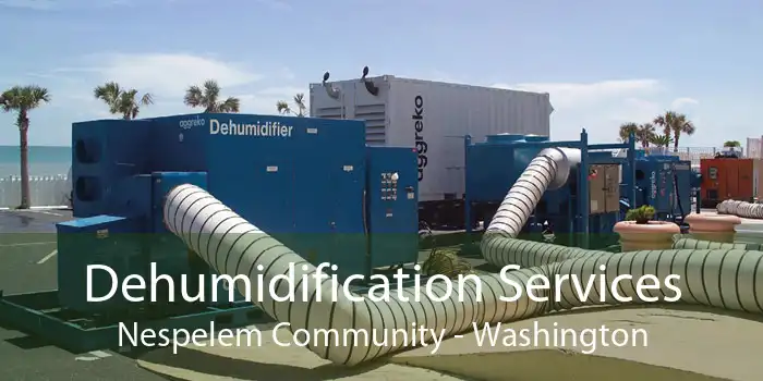 Dehumidification Services Nespelem Community - Washington
