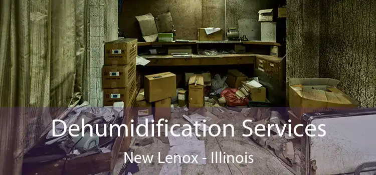 Dehumidification Services New Lenox - Illinois