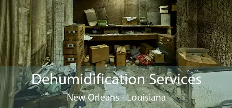 Dehumidification Services New Orleans - Louisiana