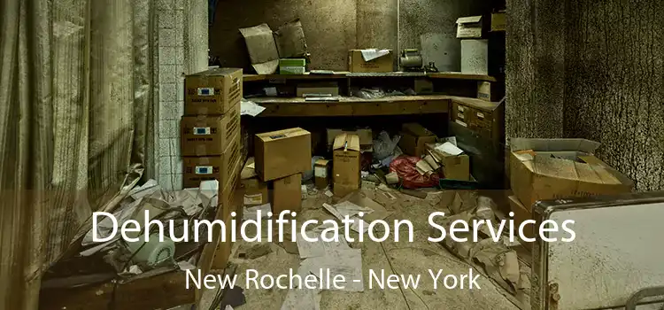 Dehumidification Services New Rochelle - New York