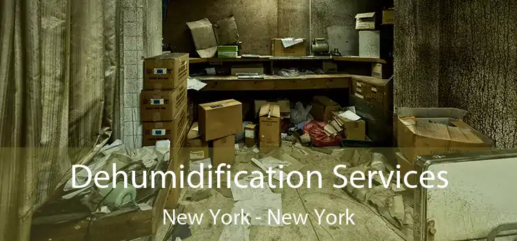 Dehumidification Services New York - New York