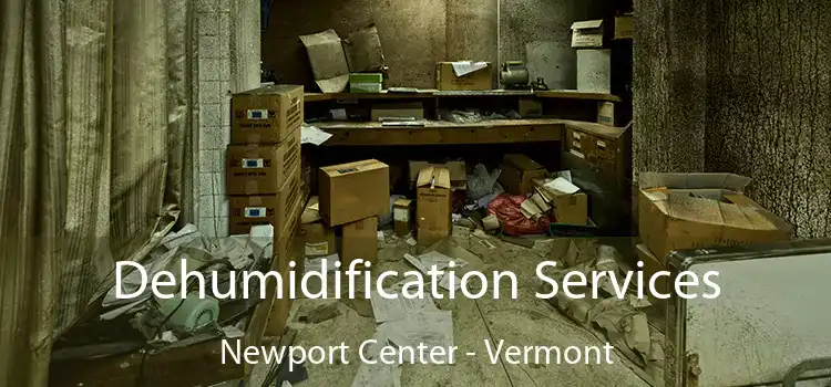 Dehumidification Services Newport Center - Vermont