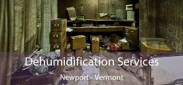 Dehumidification Services Newport - Vermont