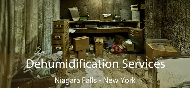 Dehumidification Services Niagara Falls - New York