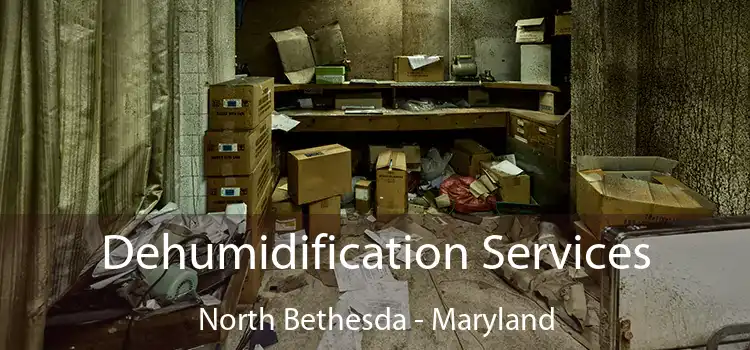 Dehumidification Services North Bethesda - Maryland