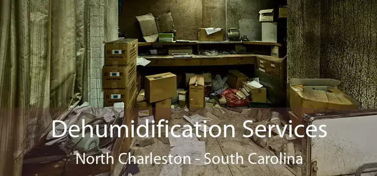 Dehumidification Services North Charleston - South Carolina