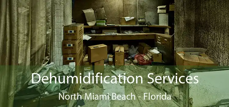 Dehumidification Services North Miami Beach - Florida