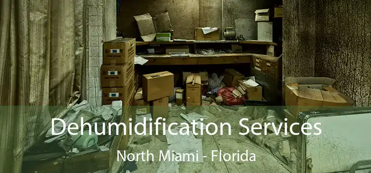 Dehumidification Services North Miami - Florida