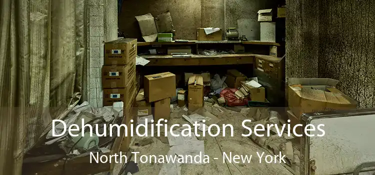 Dehumidification Services North Tonawanda - New York