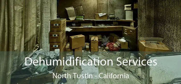 Dehumidification Services North Tustin - California