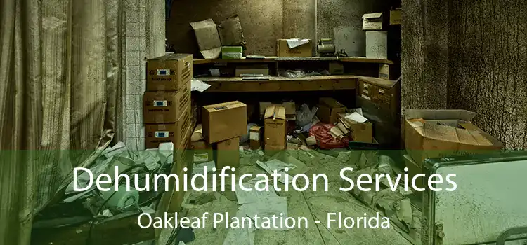 Dehumidification Services Oakleaf Plantation - Florida