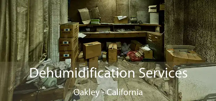 Dehumidification Services Oakley - California